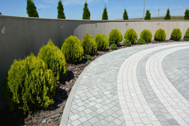 Best Custom Driveway Pavers  in Waukee, IA